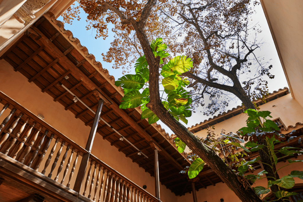 Museo del oro zenú, nuevo tesoro en cartagena