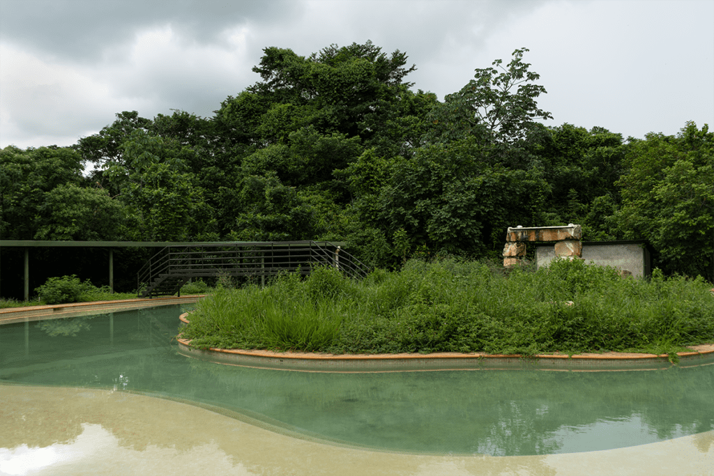 Chocó y arauca tienen senderos ecológicos que los alejan de la guerra