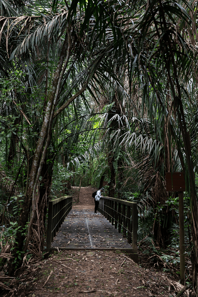 Chocó y arauca tienen senderos ecológicos que los alejan de la guerra