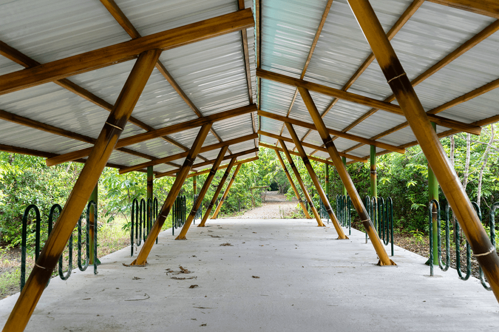 Chocó y arauca tienen senderos ecológicos que los alejan de la guerra