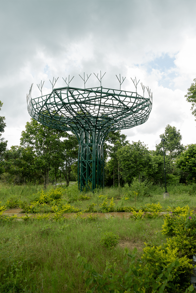Chocó y arauca tienen senderos ecológicos que los alejan de la guerra
