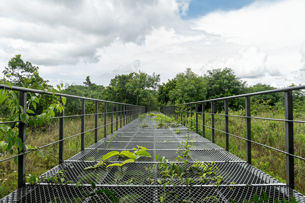 Chocó y arauca tienen senderos ecológicos que los alejan de la guerra