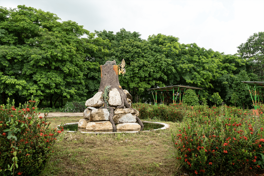 Chocó y arauca tienen senderos ecológicos que los alejan de la guerra