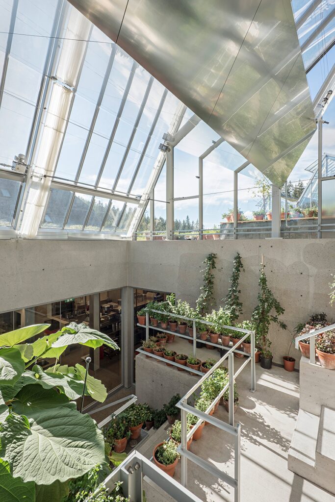 Un restaurante particular en austria que es un invernadero y un moderno mirador
