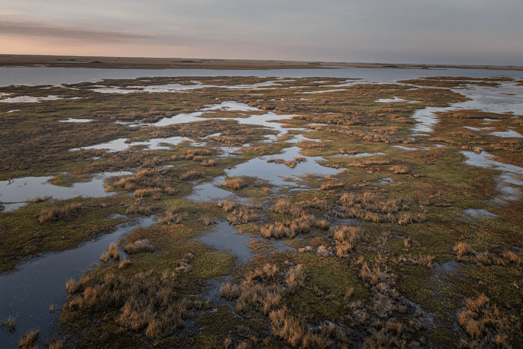 Rolex perpetual planet: el compromiso por un futuro sostenible