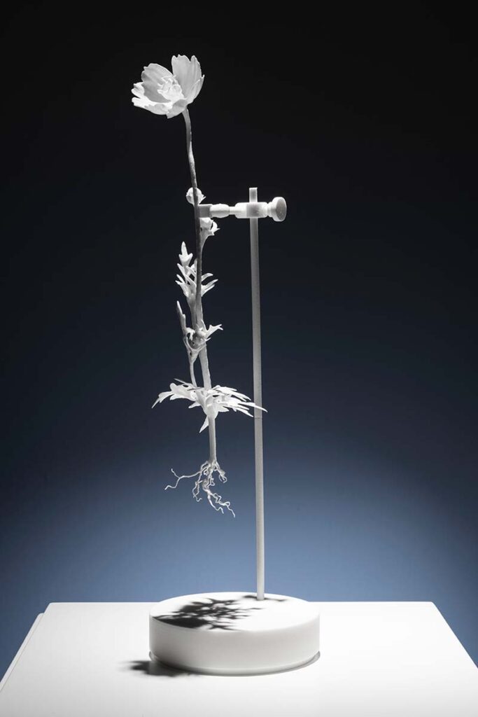 Plan en bogotá: visite la exposición ‘naturaleza humana’, en la macarena