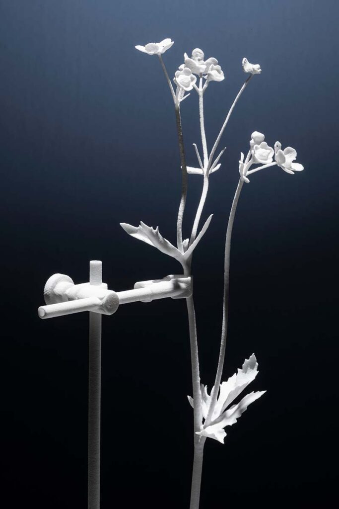 Plan en bogotá: visite la exposición ‘naturaleza humana’, en la macarena