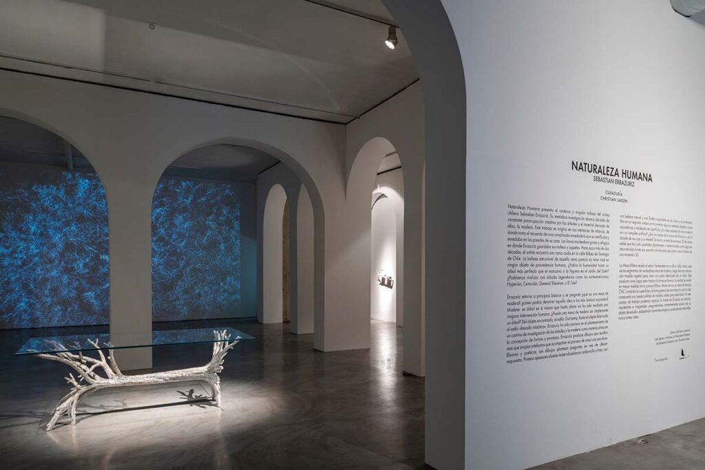 Plan en bogotá: visite la exposición ‘naturaleza humana’, en la macarena