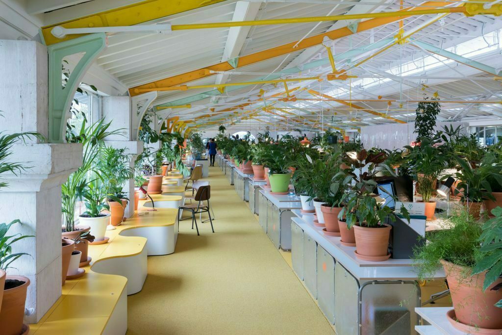 Una oficina creativa con más de 1. 000 plantas y árboles en su interior