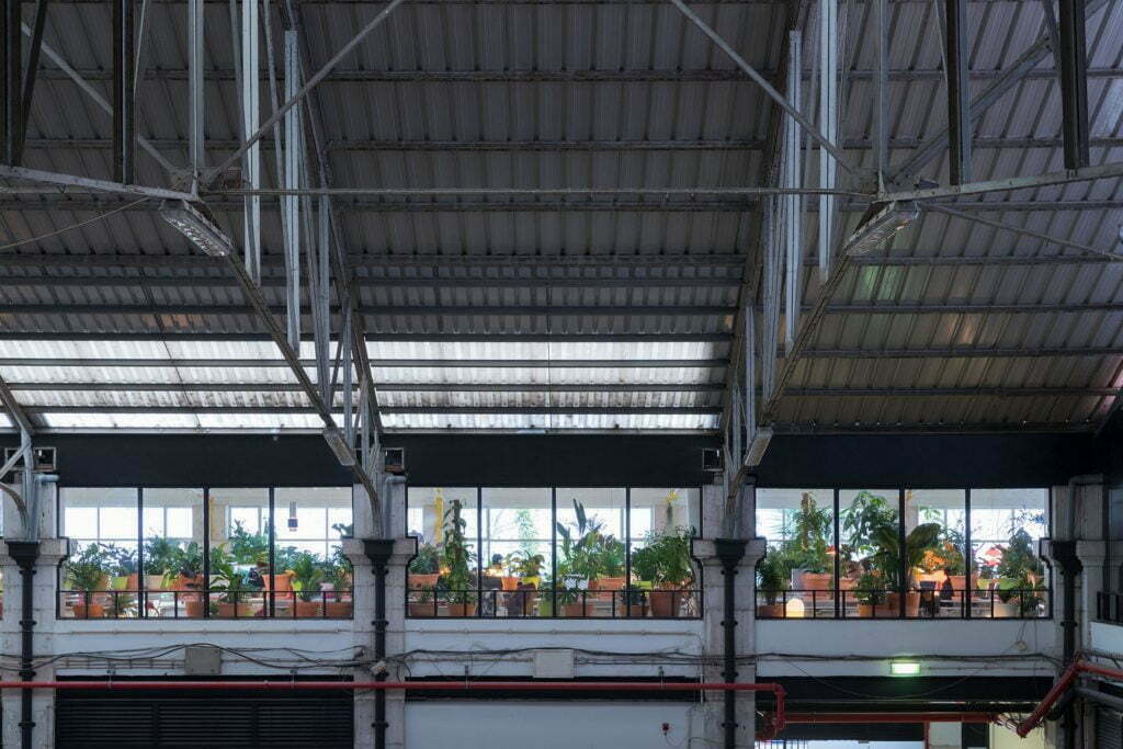 Una oficina creativa con más de 1. 000 plantas y árboles en su interior