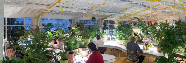 Una oficina creativa con más de 1. 000 plantas y árboles en su interior