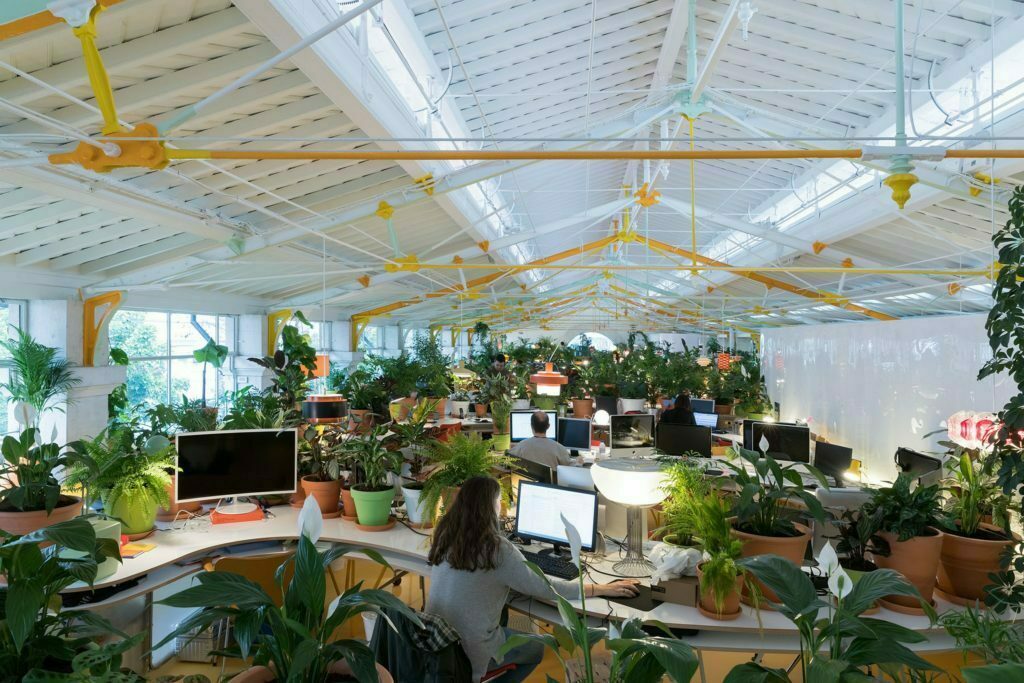 Una oficina creativa con más de 1. 000 plantas y árboles en su interior