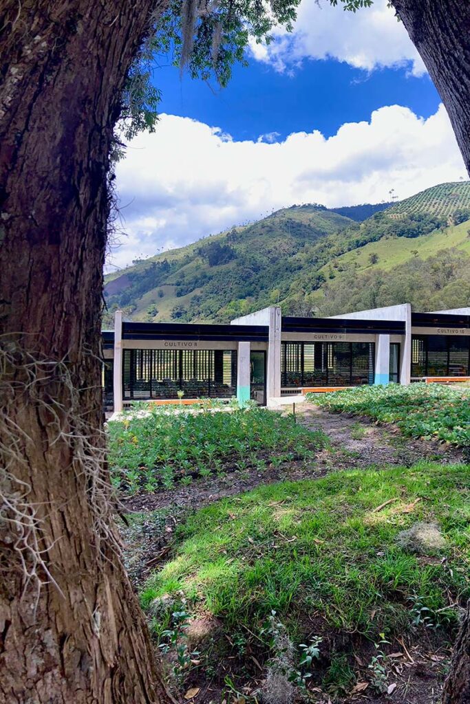 Este es el colegio de crepes & waffles con una arquitectura para la comunidad