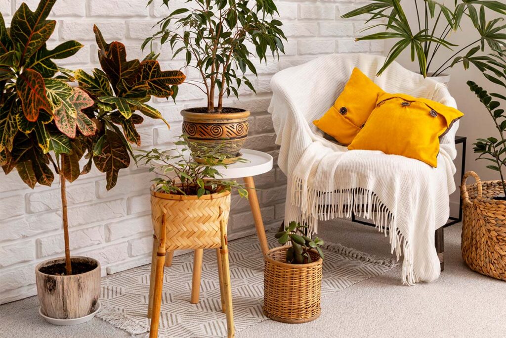 Diseño y arquitectura de espacios para la salud mental