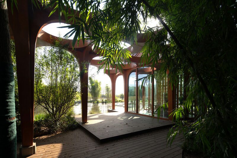 Un sorprendente salón cultural rodeado de bosque de bambú en china Un sorprendente salón cultural rodeado de bosque de bambú en china