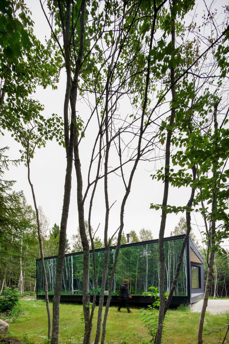Dossier de prensa |  1527-13 - comunicado de prensa |  forest glamp - bourgeois / lechasseur architects - arquitectura residencial - crédito de la foto: adrien williams