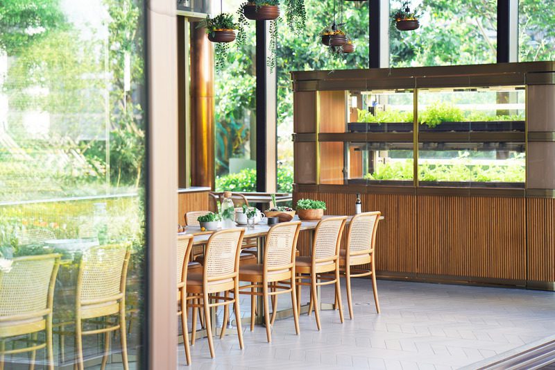 Conozca el primer parque natural y sostenible que celebra la biodiversidad del mundo Conozca el primer parque natural y sostenible que celebra la biodiversidad del mundo