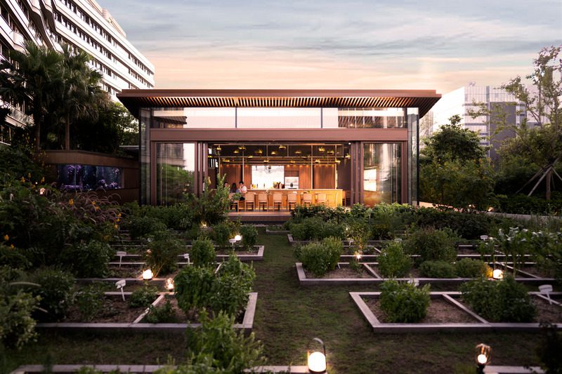 Conozca el primer parque natural y sostenible que celebra la biodiversidad del mundo Conozca el primer parque natural y sostenible que celebra la biodiversidad del mundo