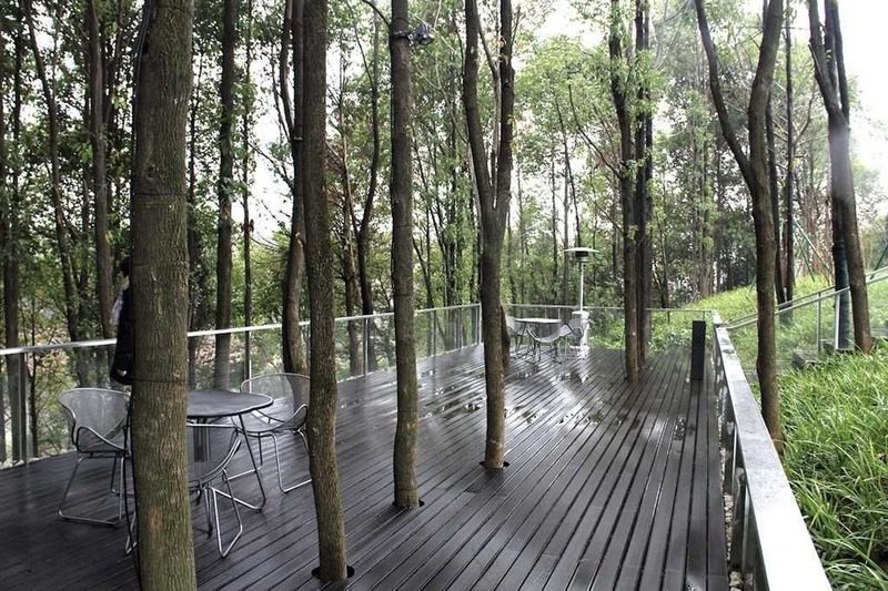Una encantadora casa contemporánea en medio del verde de un bosque solitario en china