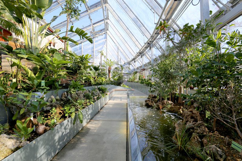 Press kit | 5636-01 - press release | global flora conservatory wins architizer a+ awards - kennedy & violich architecture - institutional architecture - view of the wet biome and mangrove tank - photo credit: kva