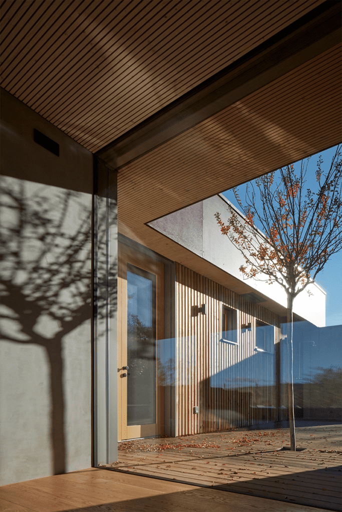 En esta casa la vegetación del exterior impregna en el interior de la obra En esta casa la vegetación del exterior impregna en el interior de la obra
