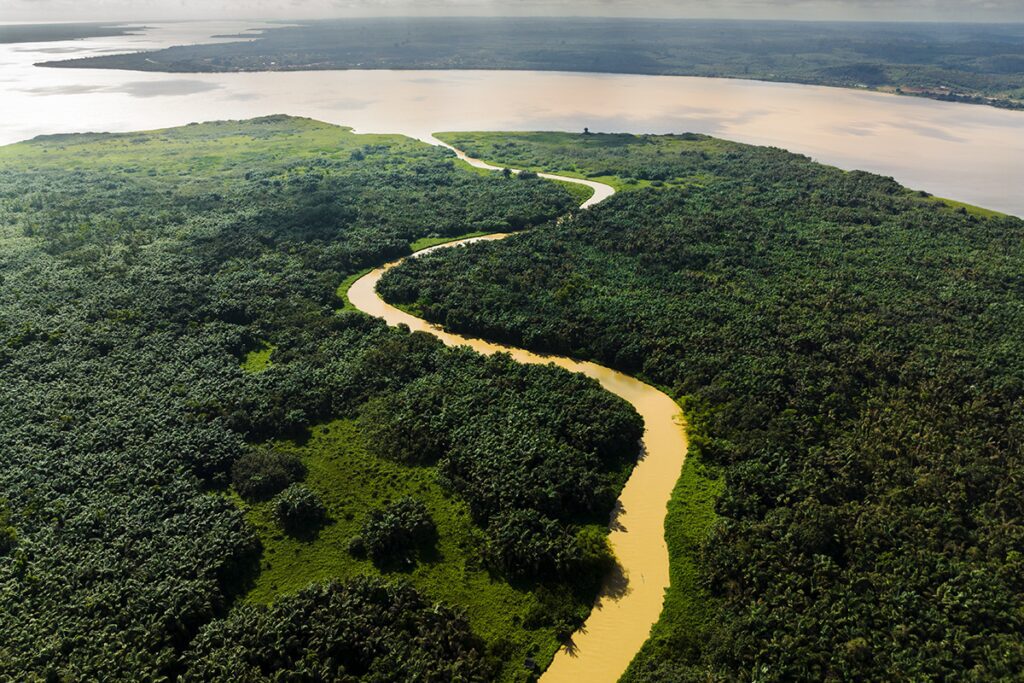 Cubrir las montañas con árboles: el propósito del biólogo reconocido por los premios rolex