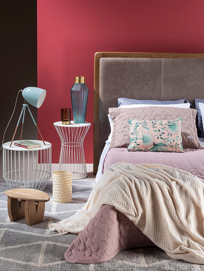 Licencia para decorar