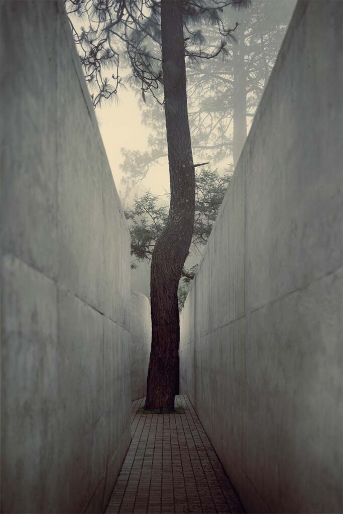 Casa mexico por HW STUDIO 11 Una casa que se oculta en la montaña y se funde con la delicadeza del paisaje