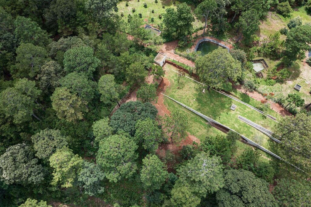 Casa mexico por HW STUDIO 5 Una casa que se oculta en la montaña y se funde con la delicadeza del paisaje