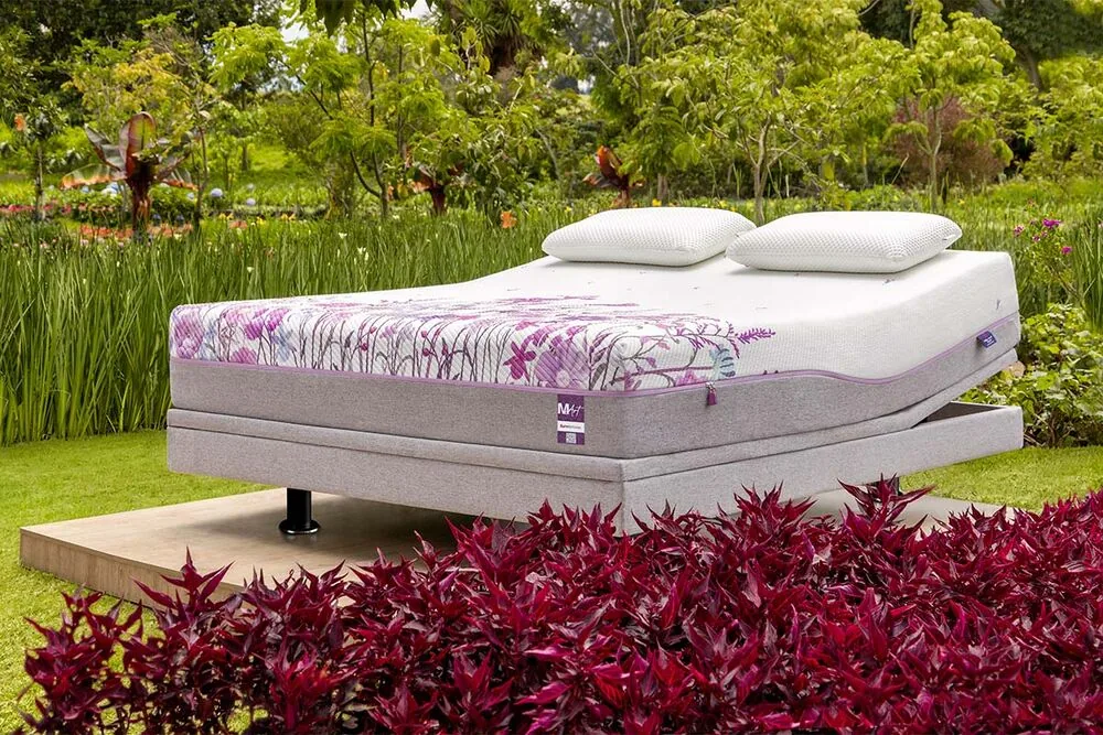 Descubra cómo convertir el dormitorio en un refugio de armonía y bienestar