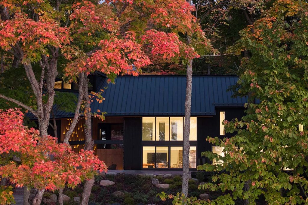 Casa Barbora Vokac Taylor Architect 19 El color negro define esta extraña casa campestre que parece del futuro