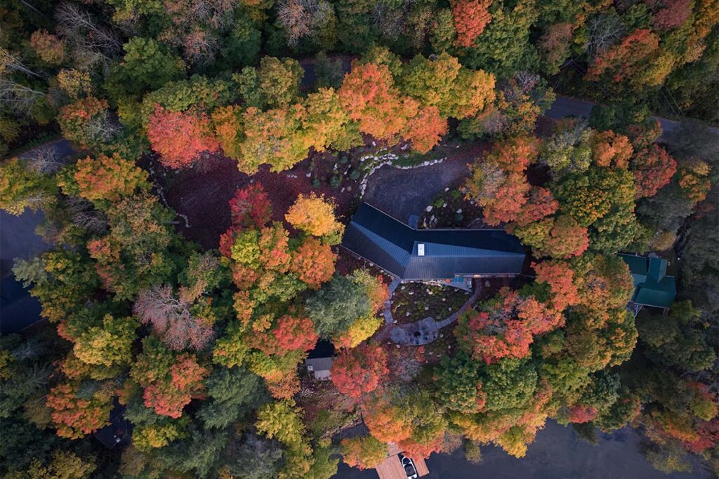 Casa Barbora Vokac Taylor Architect 4 El color negro define esta extraña casa campestre que parece del futuro