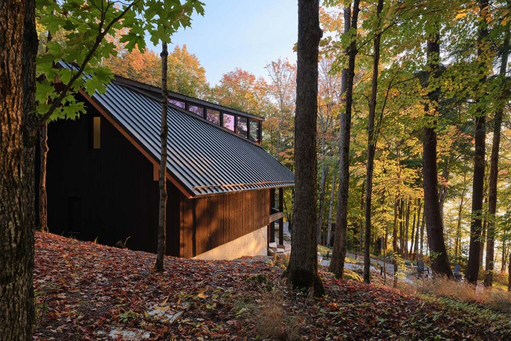 Casa Barbora Vokac Taylor Architect 5 El color negro define esta extraña casa campestre que parece del futuro