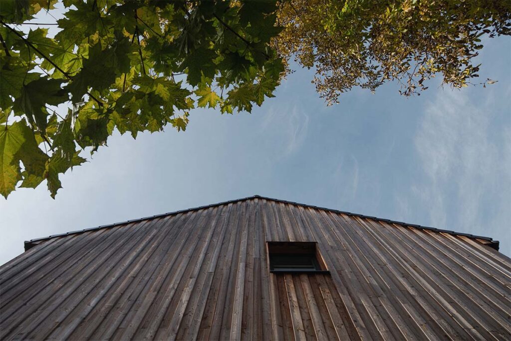 Inspirada en un granero, esta vivienda prioriza su relación con la naturaleza 5 Mimosa Architects Casa 7 Inspirada en un granero, esta vivienda prioriza su relación con la naturaleza