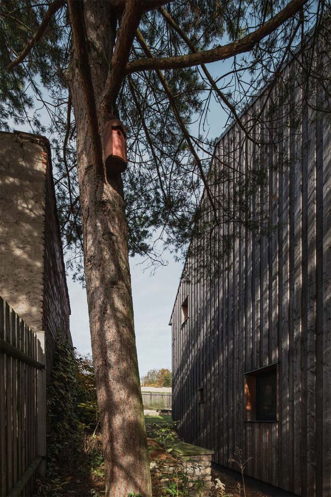 Inspirada en un granero, esta vivienda prioriza su relación con la naturaleza 4 Mimosa Architects Casa 9 Inspirada en un granero, esta vivienda prioriza su relación con la naturaleza