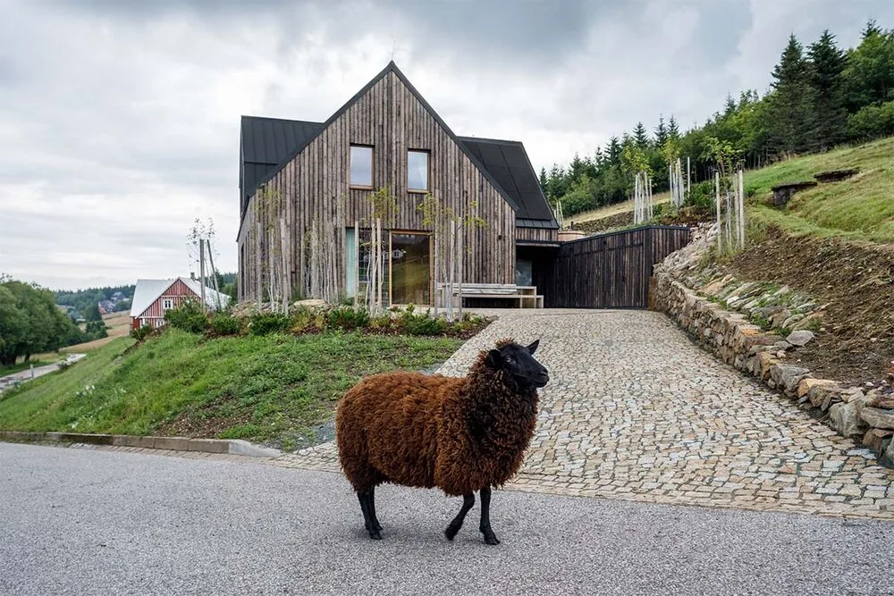 ¿quisiera diseñar una cabaña? Una idea de diseño simple, pero potente