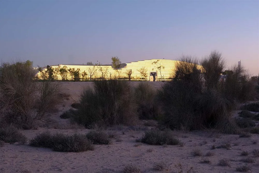 Vivir en armonía con la naturaleza: un centro de experiencia biofílico en dubái Vivir en armonía con la naturaleza: un centro de experiencia biofílico en dubái