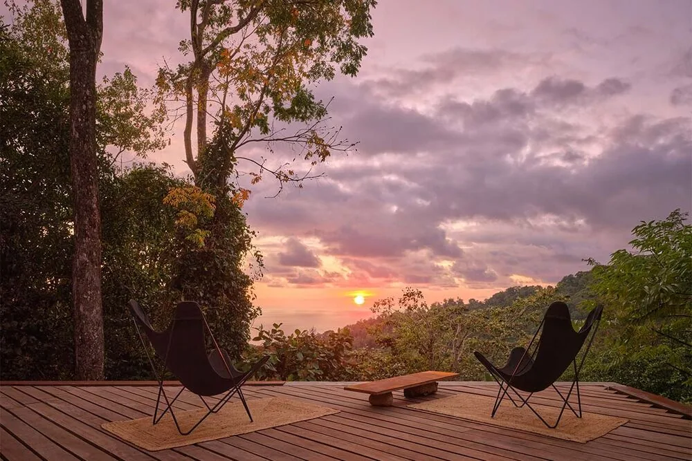 Esta casa se levanta entre árboles centenarios y abraza la filosofía del 'wabi-sabi'