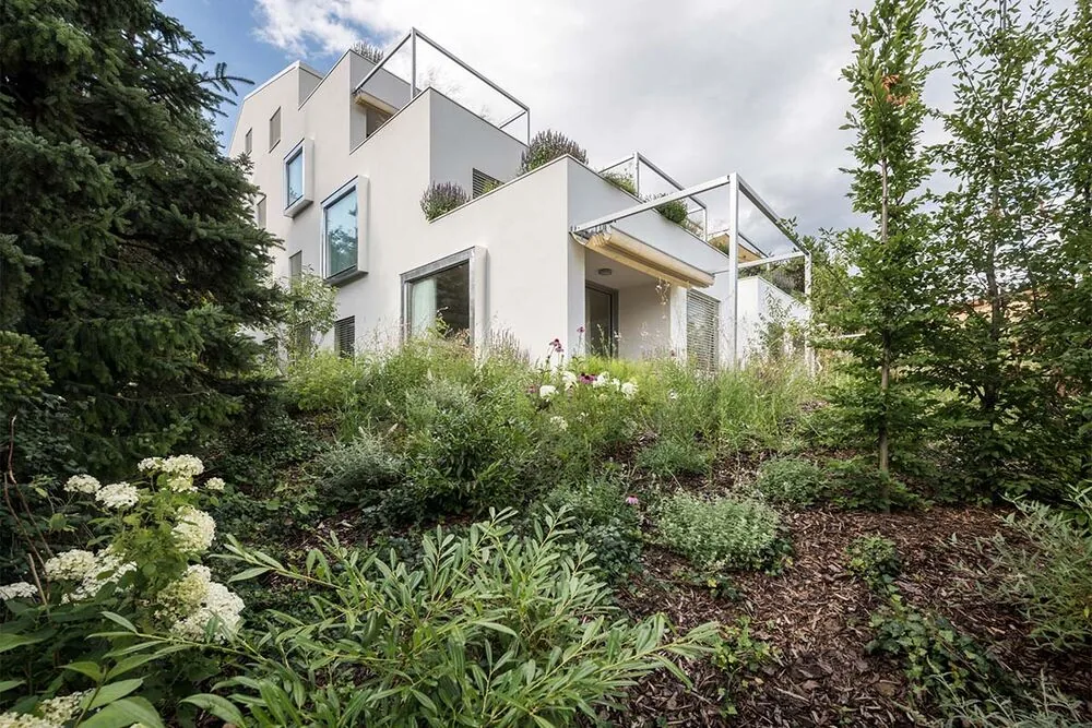 Una vivienda que abraza la complejidad del terreno para integrarse con la naturaleza