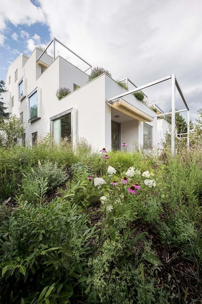 Una vivienda que abraza la complejidad del terreno para integrarse con la naturaleza