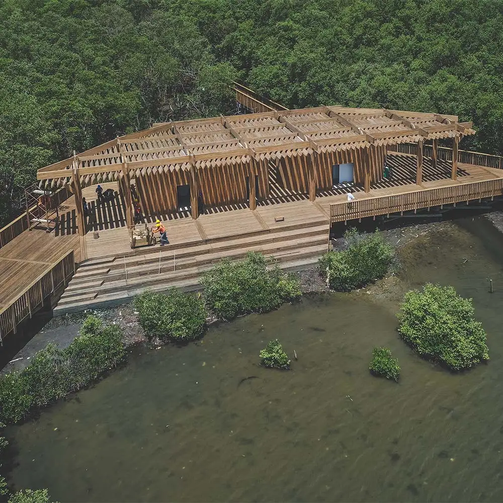 Caminar sobre un manglar: la arquitectura del ecoparque ciénaga de mallorquín en barranquilla