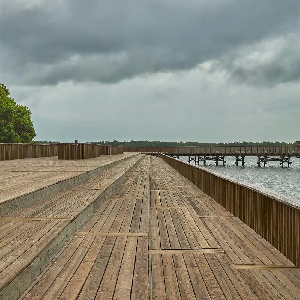 Caminar sobre un manglar: la arquitectura del ecoparque ciénaga de mallorquín en barranquilla