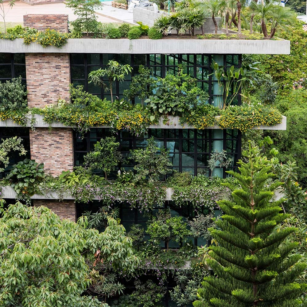 Un edificio en medellín convertido en bosque: su arquitectura se complementa con la naturaleza