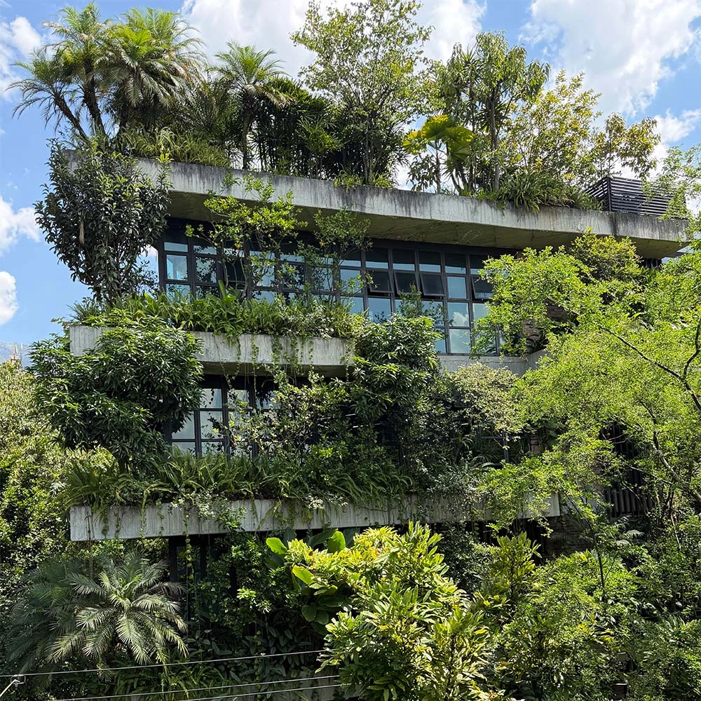 Un edificio en medellín convertido en bosque: su arquitectura se complementa con la naturaleza