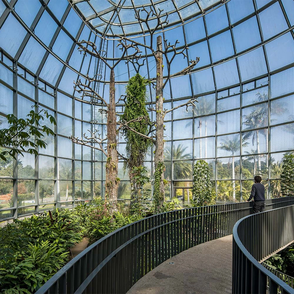 ¿conocía el secreto detrás del diseño del tropicario del jardín botánico de bogotá?
