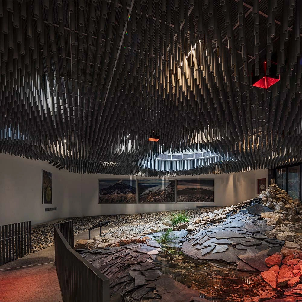 ¿conocía el secreto detrás del diseño del tropicario del jardín botánico de bogotá?