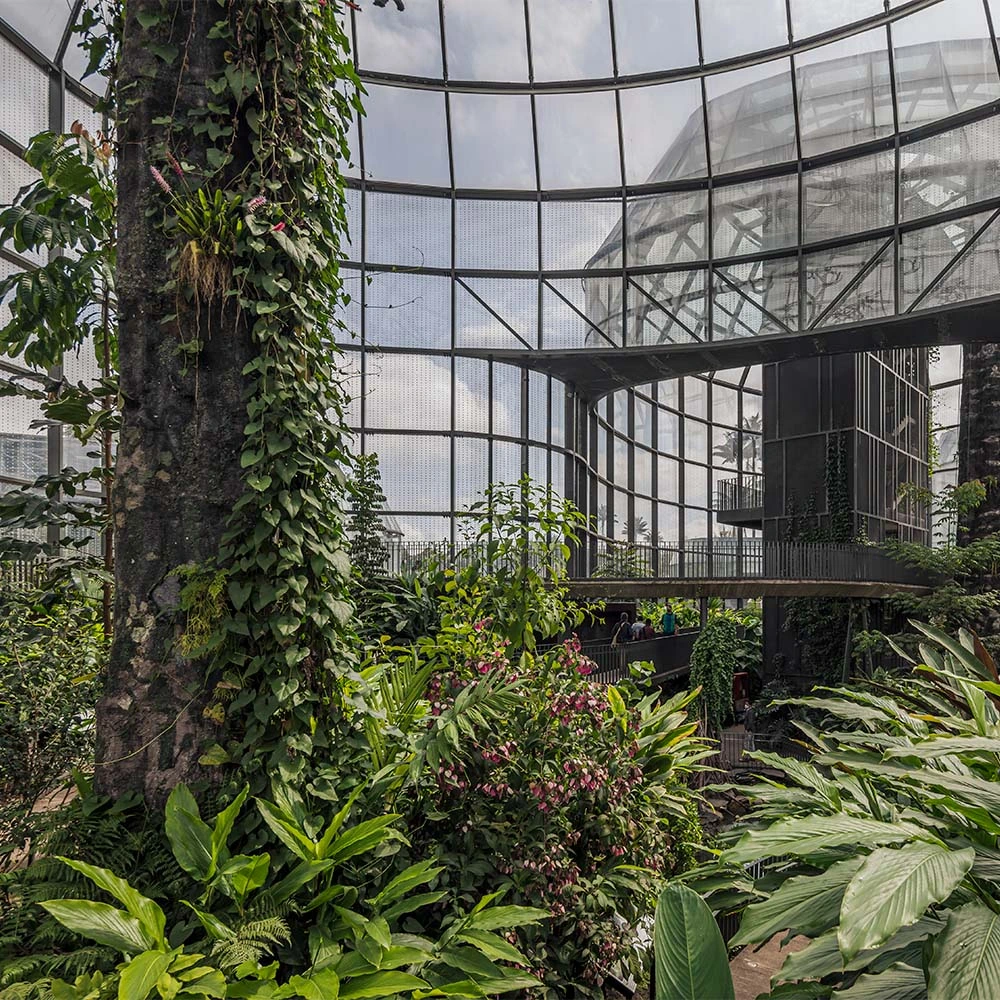 ¿conocía el secreto detrás del diseño del tropicario del jardín botánico de bogotá?