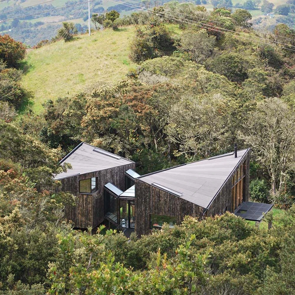 Daniel feldman, firma zita