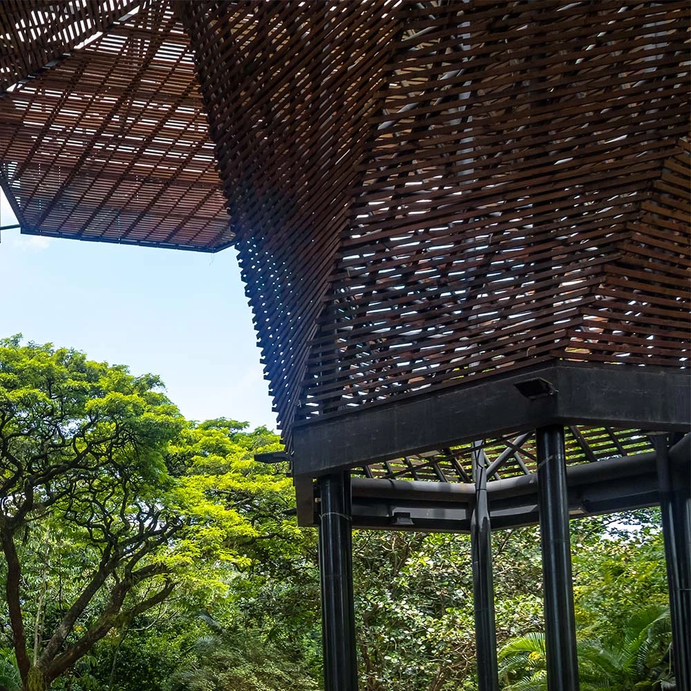 Diseñar desde adentro hacia afuera: el orquideorama como experimento bioclimático de medellín