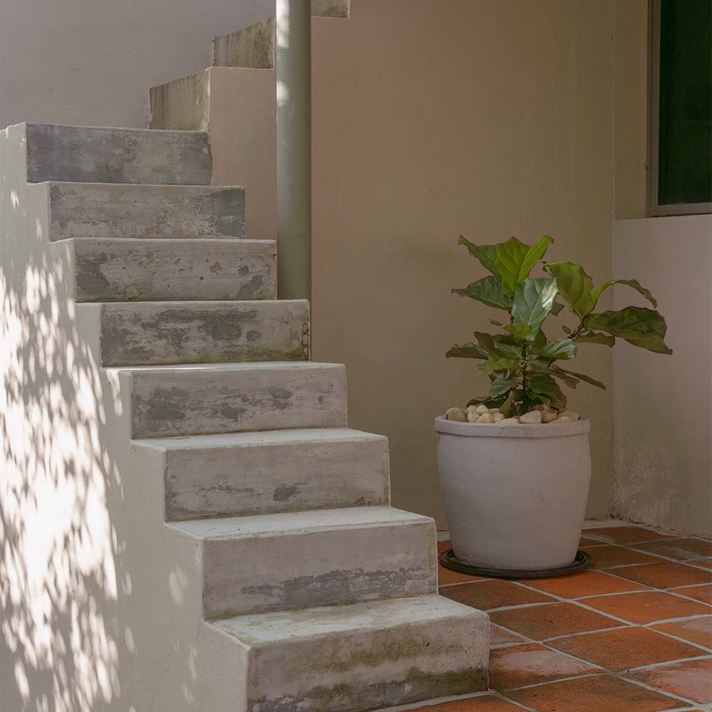 Así se transformó esta vivienda en una obra abierta al paisaje y al clima cálido